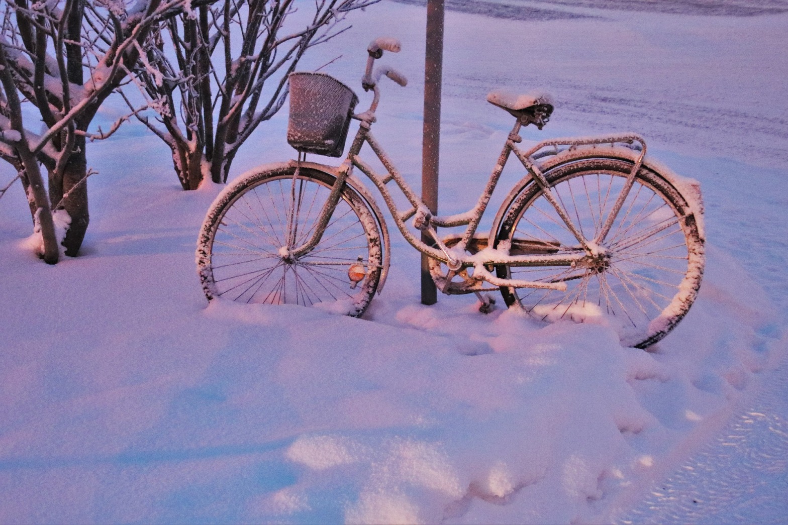 Old bicycle leaning against a pole in snow